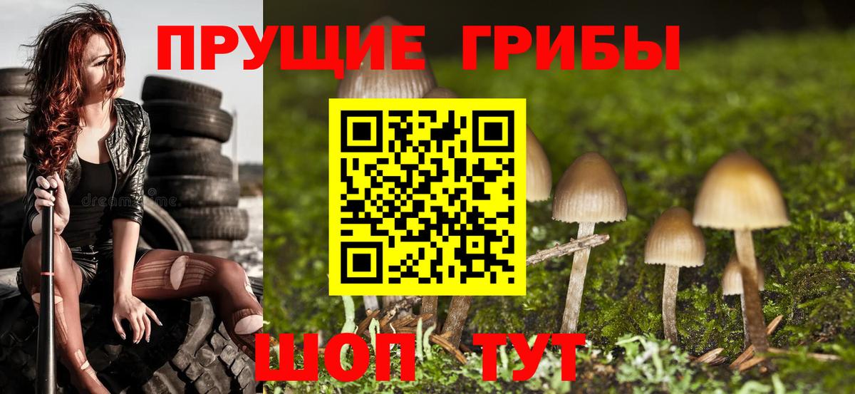 Псилоцибиновые грибы ЛСД  Вход с VPN  Минеральные Воды 